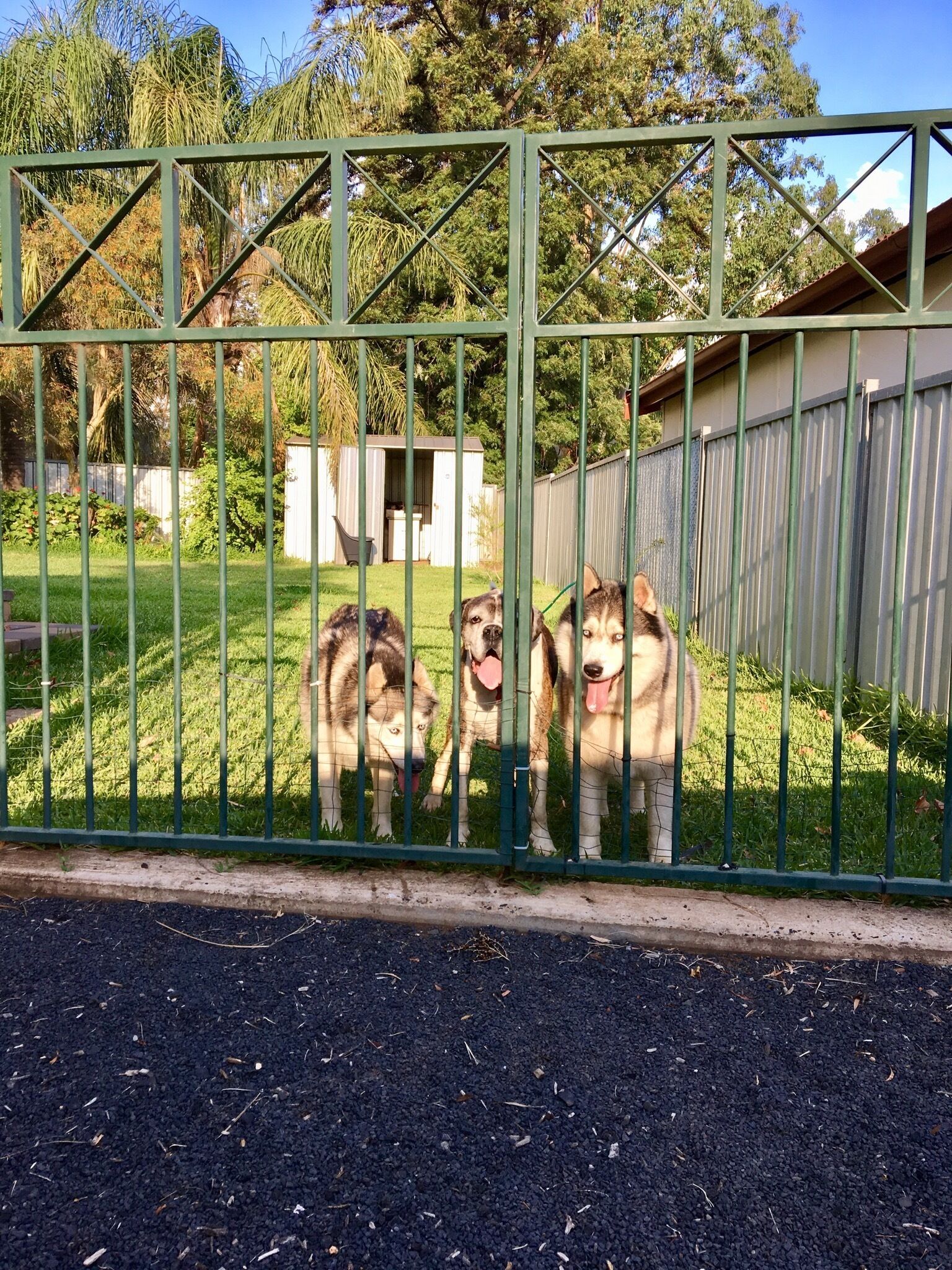 Rose Cottage - Pet and Family Friendly Accommodation