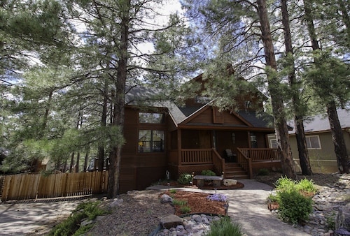 Best Cabins In Flagstaff For 2020 Find Cheap 35 Cabins Rentals
