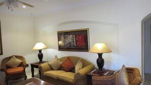 Flat-screen TV