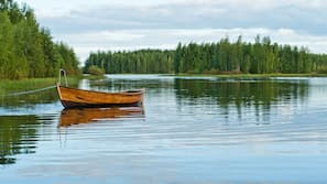 Järvi
