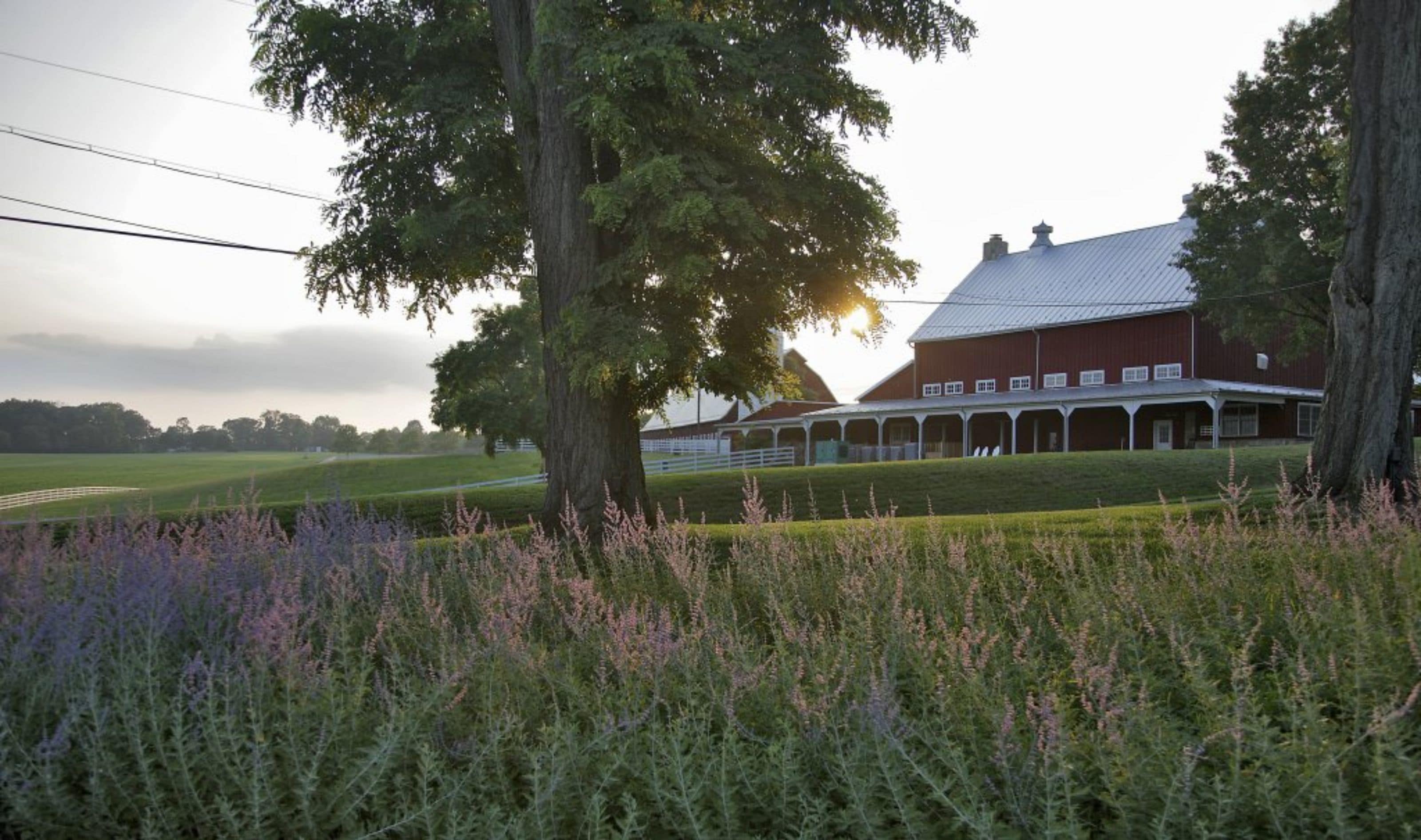 The Inn at Tusculum Farm in Bethesda, United States