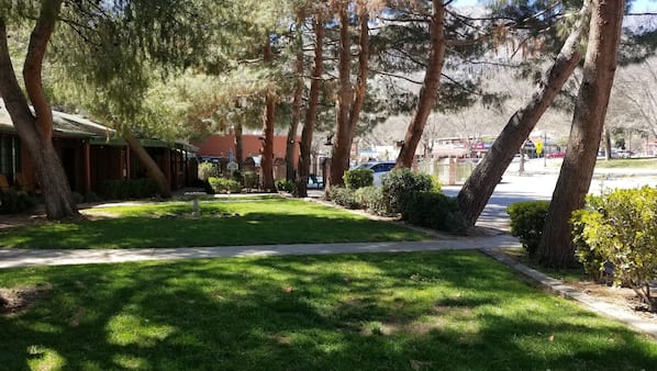 Courtyard