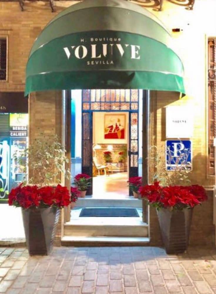 Foto - CSE Casa Catedral