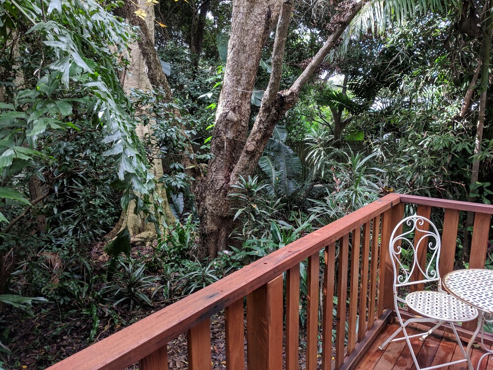 Rain Forest Gem