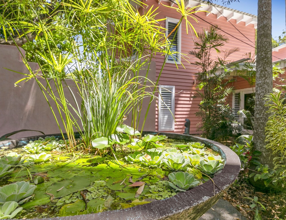 Dolphins Beach House