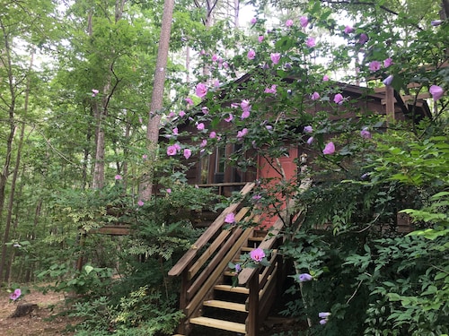 Wickes Vacation Apartments 45 Short Term Apartment Rentals