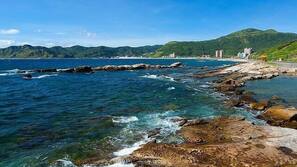 在海灘附近