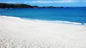 在海灘附近