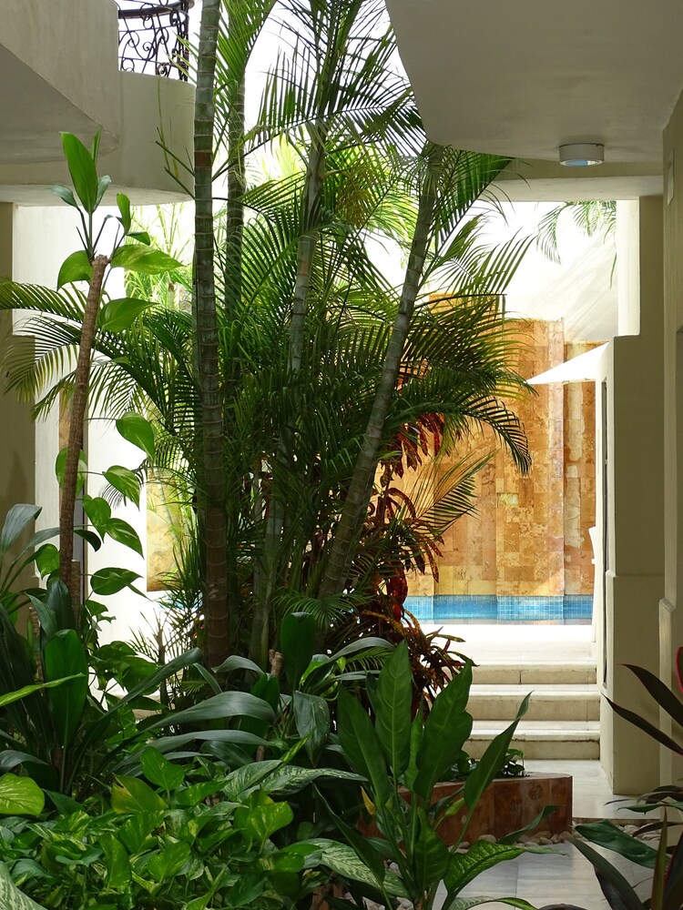 Hotel López Campeche