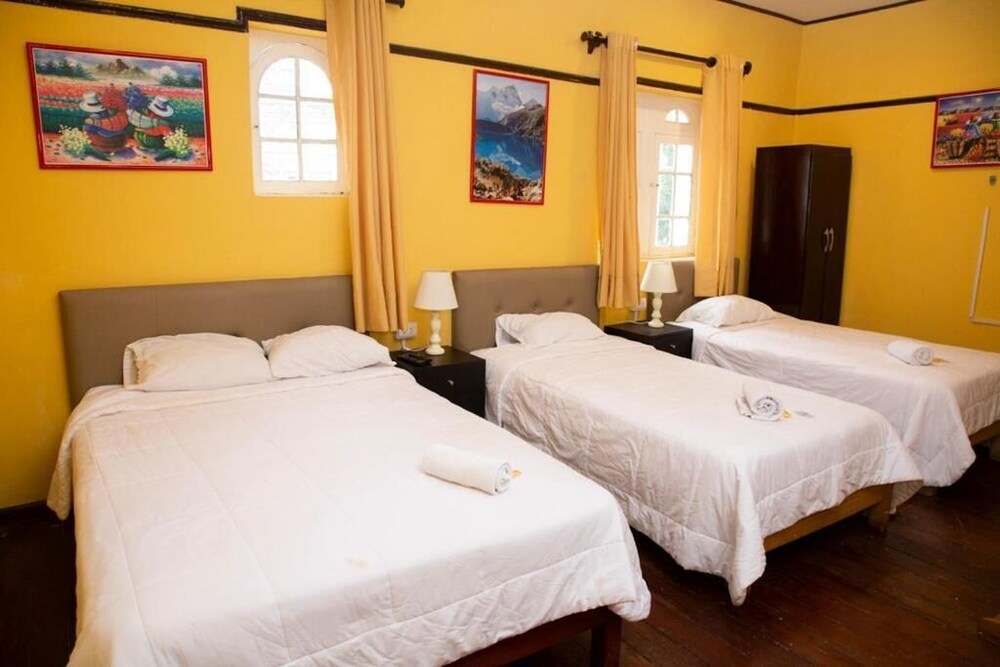 Foto - Lion Backpackers