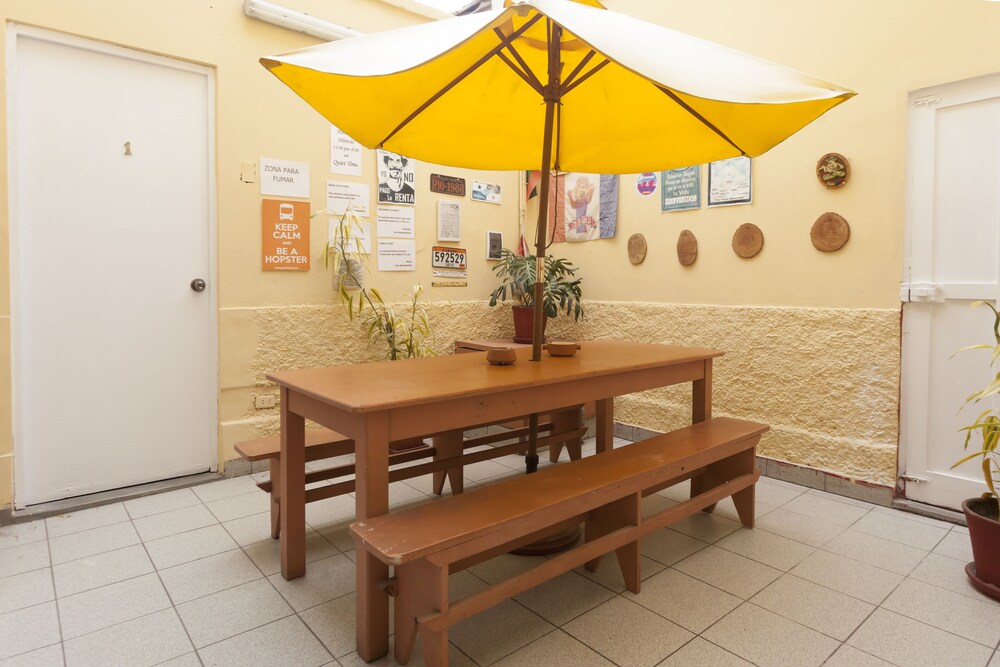 Foto - Lion Backpackers