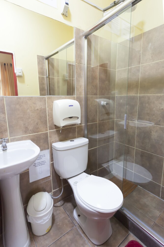 Foto - Lion Backpackers