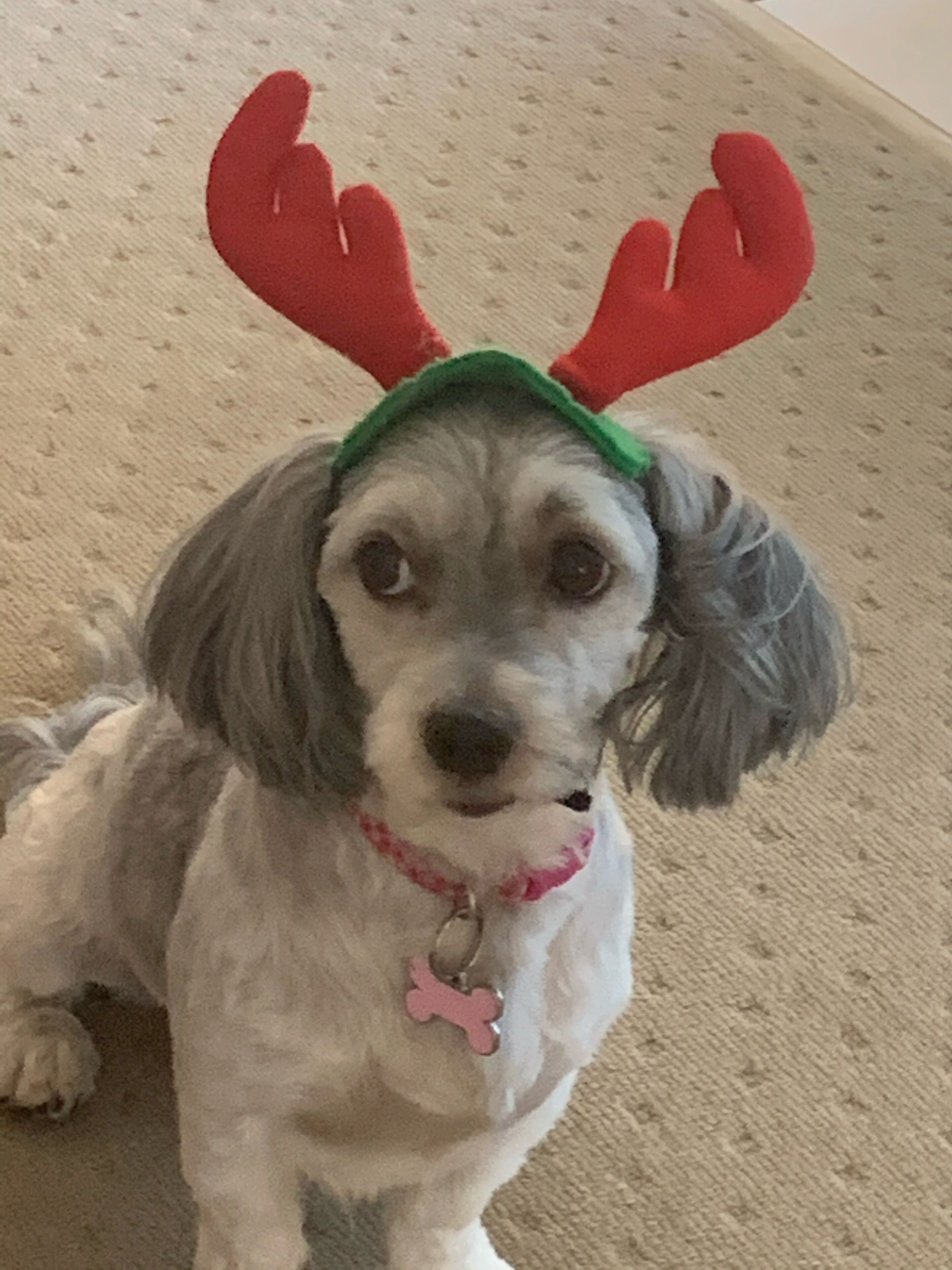 Holiday On Hillcrest