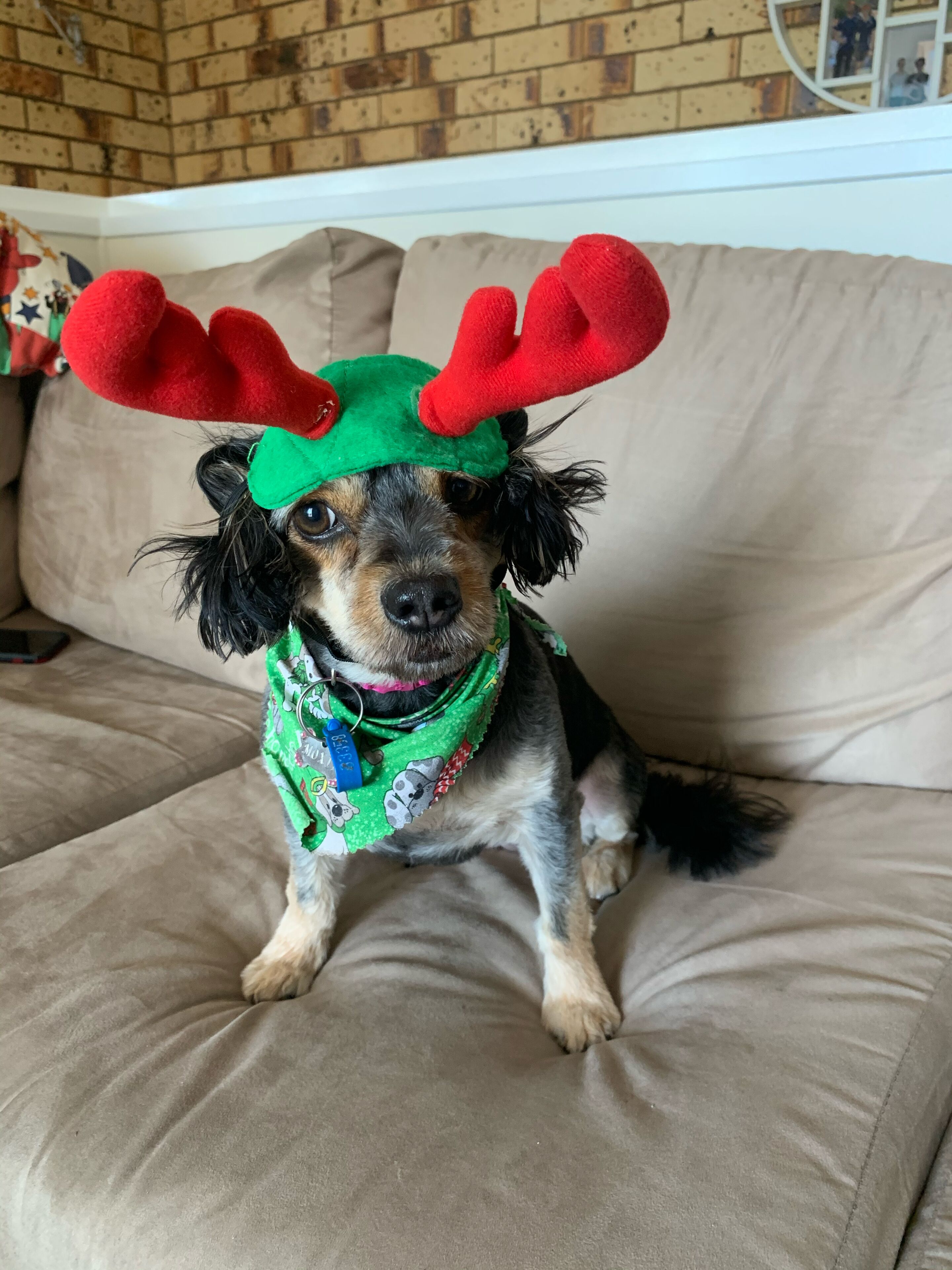 Holiday On Hillcrest