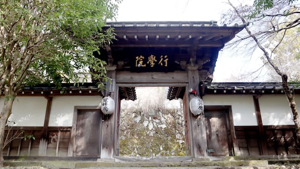 Featured Image
