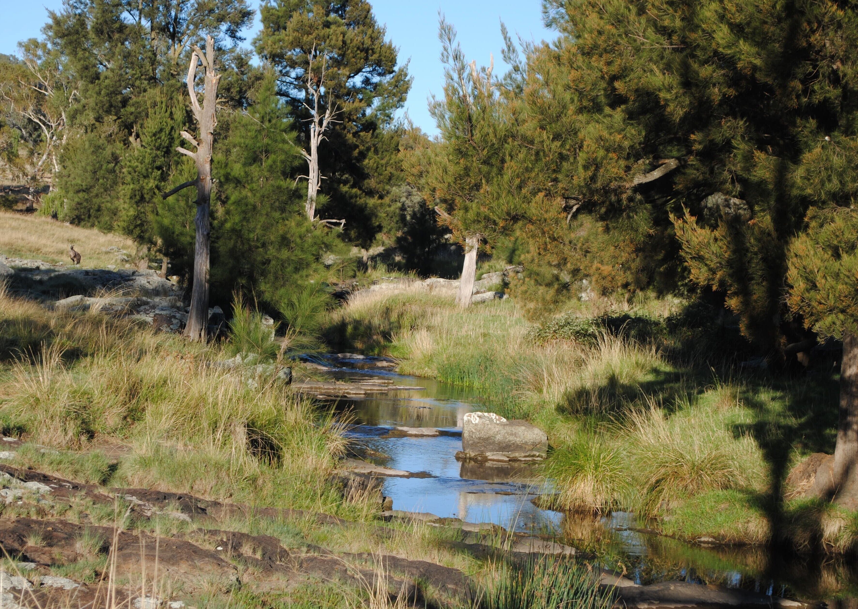 Waterloo Country Accommodation