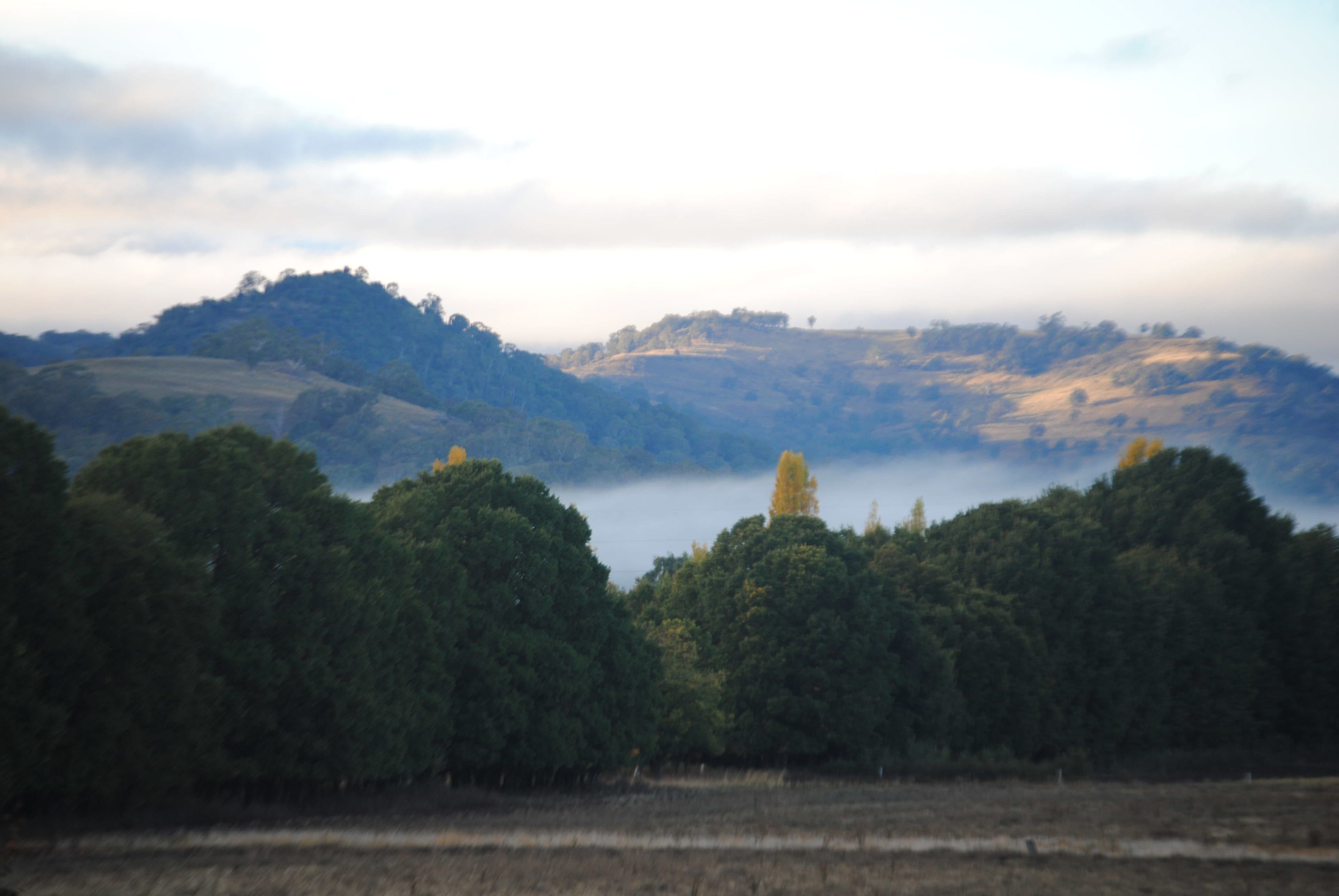 Waterloo Country Accommodation