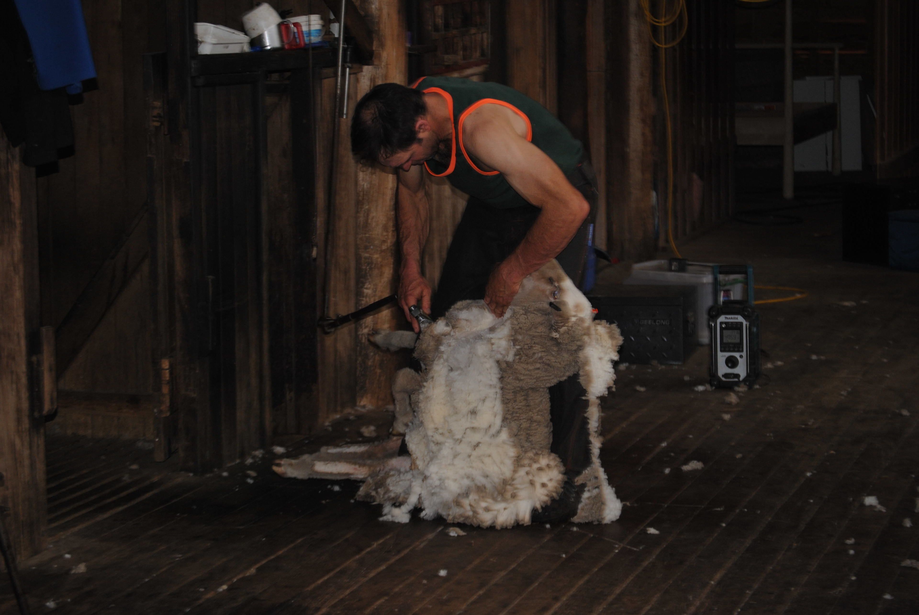 Waterloo Country Accommodation