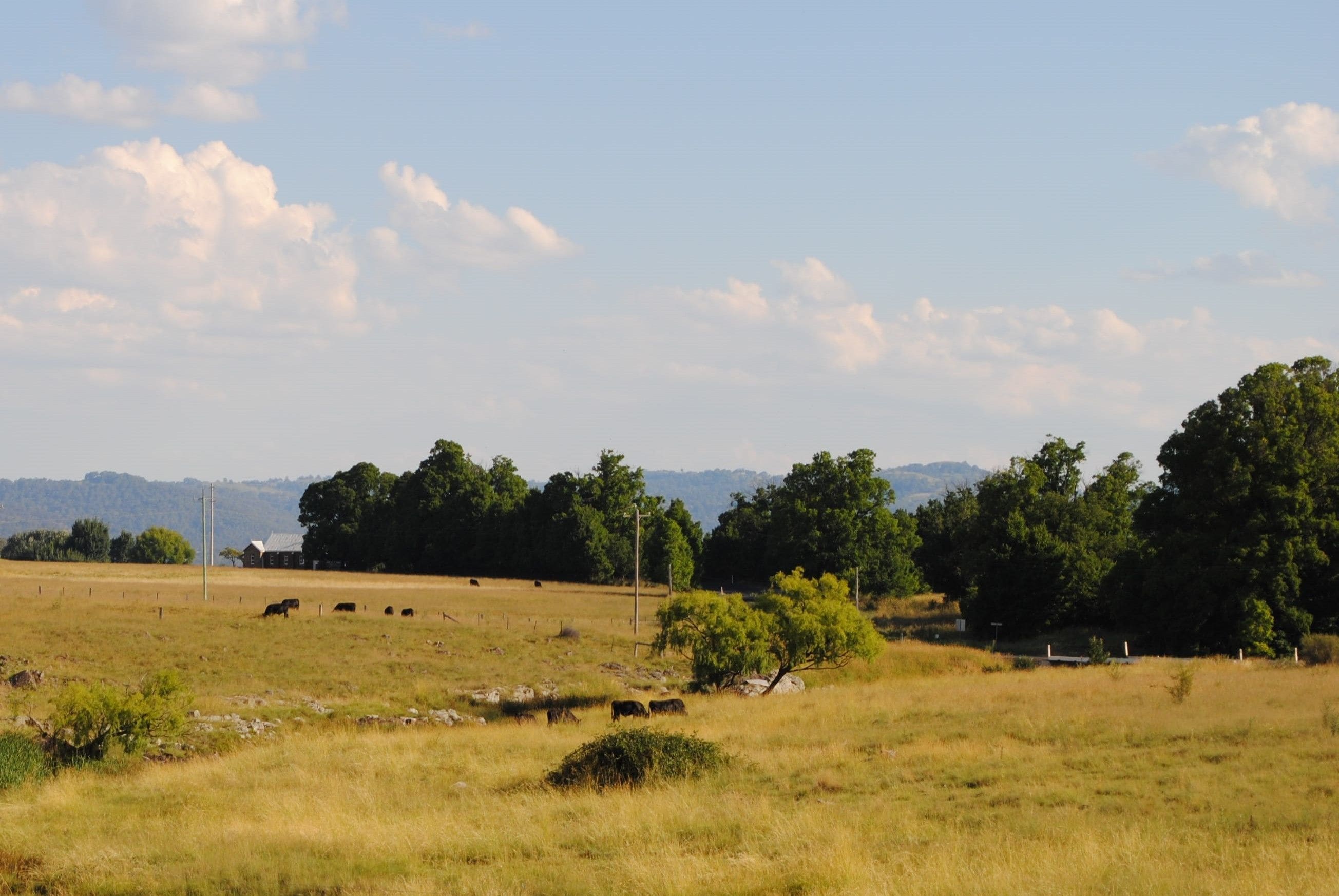 Waterloo Country Accommodation