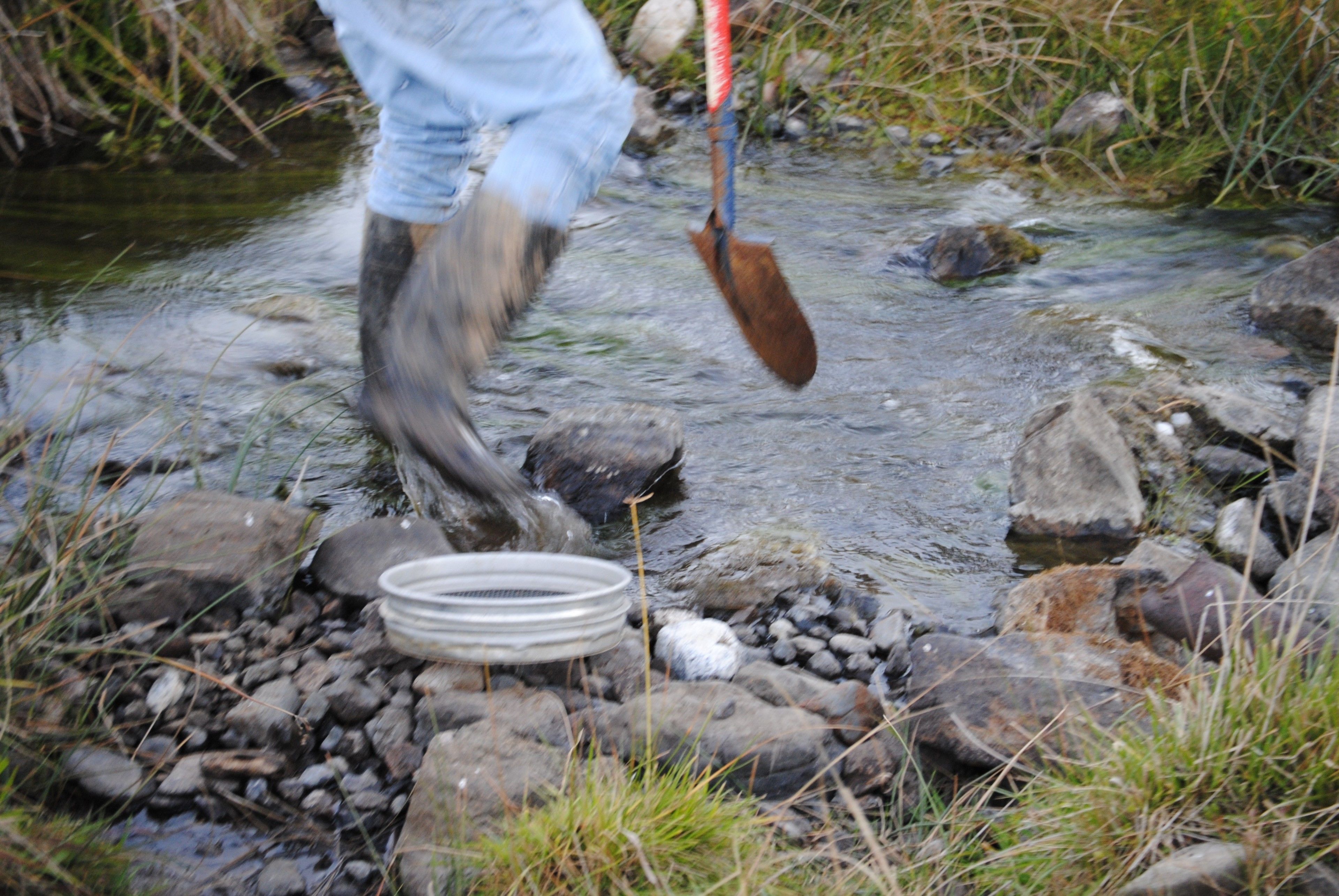 Waterloo Country Accommodation