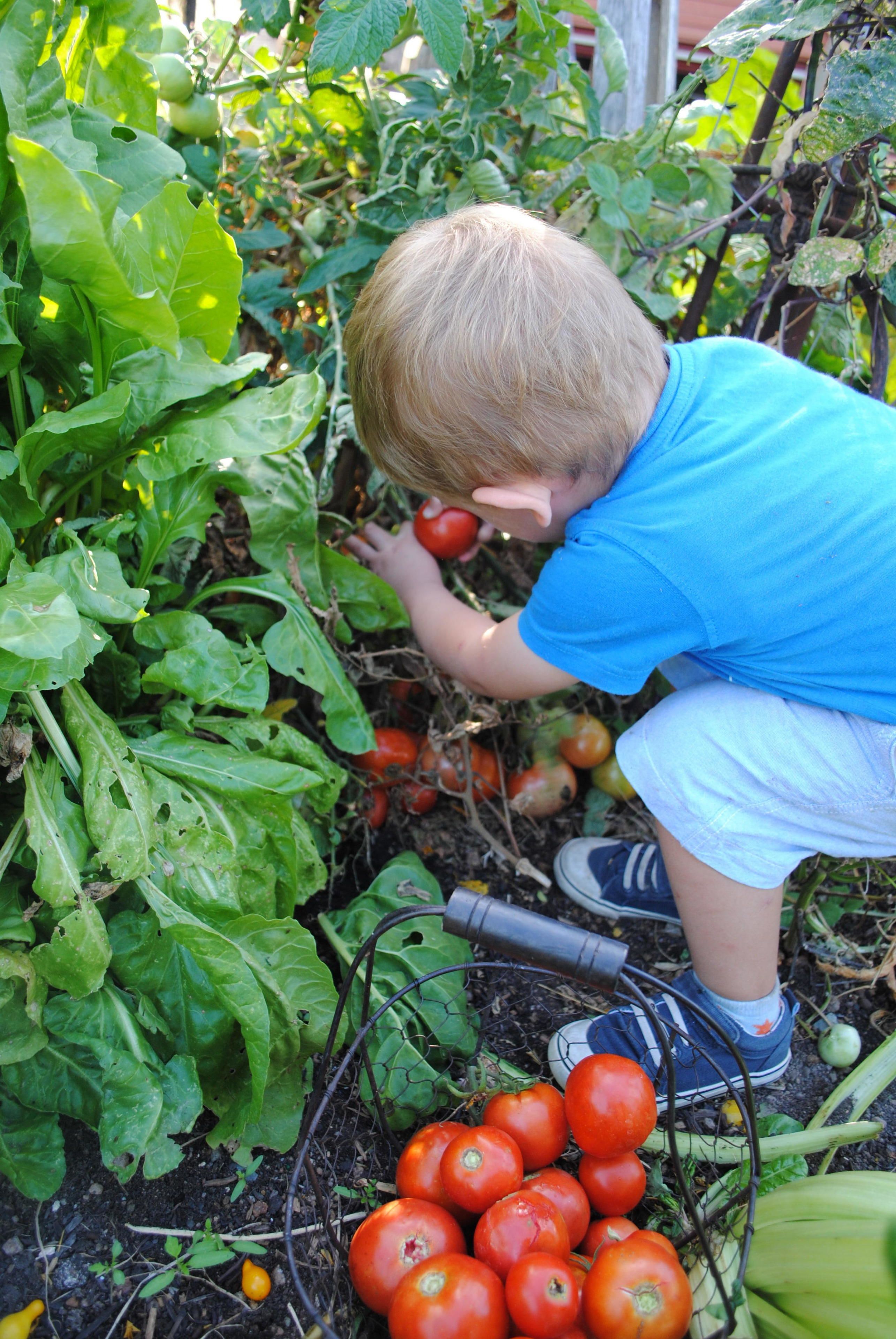 Waterloo Country Accommodation