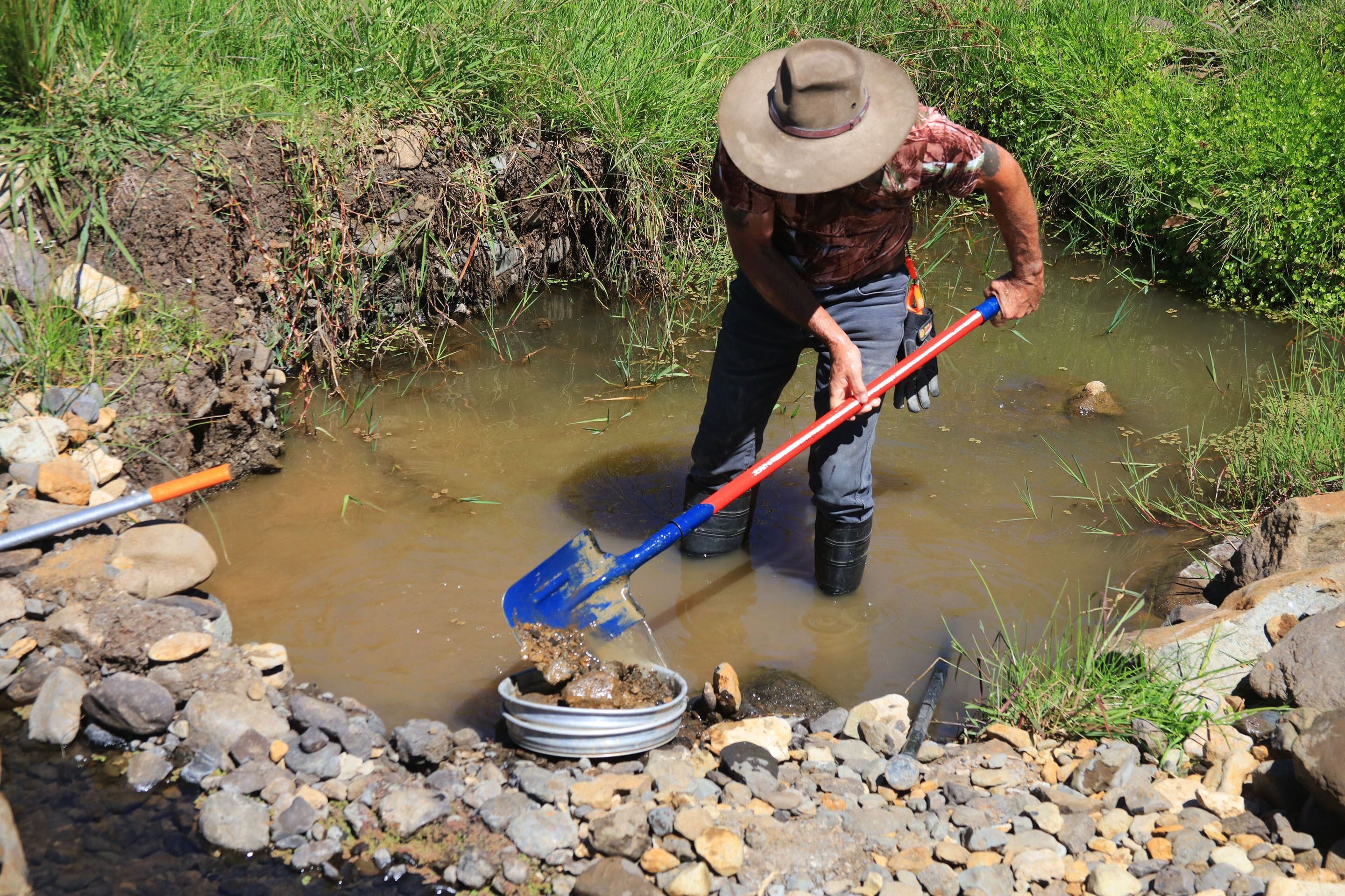 Waterloo Country Accommodation