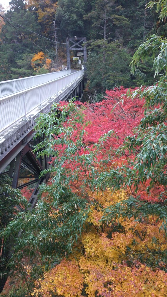 民宿 雲仙屋 東京都 奥多摩 川井 鳩ノ巣 おすすめ人気宿泊プラン一覧 トラベルjp 民宿 雲仙屋 東京都 奥多摩 川井 鳩ノ巣 おすすめ人気宿泊プラン一覧 トラベルjp