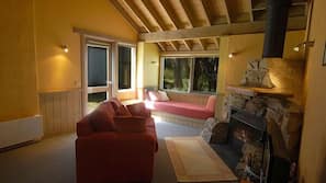 40-inch flat-screen TV with satellite channels, TV, fireplace