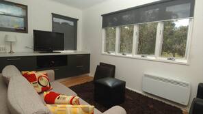 40-inch flat-screen TV with satellite channels, TV