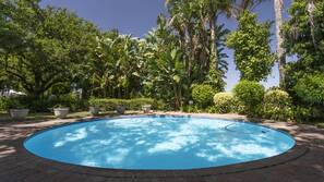 Outdoor pool, pool umbrellas, pool loungers