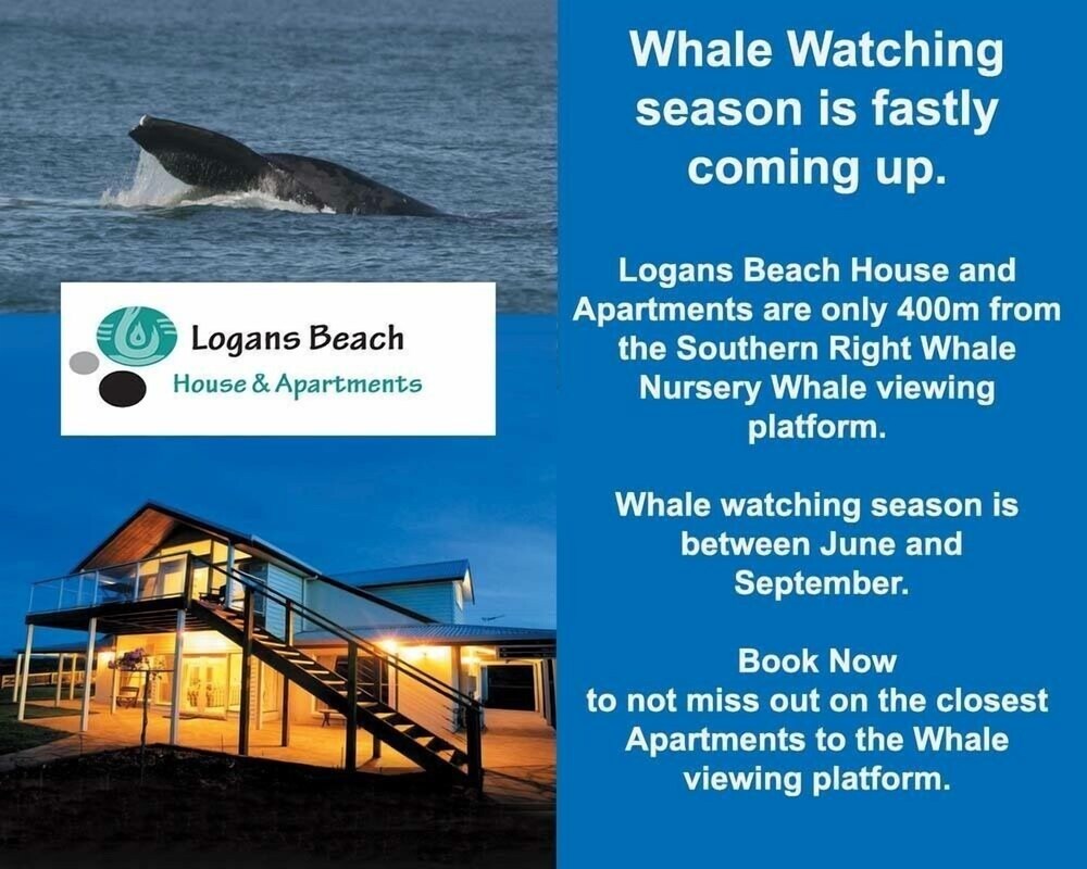 Logans Beach House and Apartments