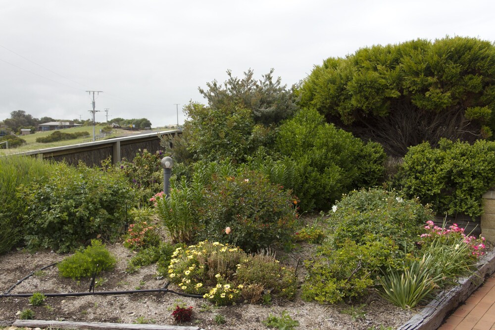 Logans Beach House and Apartments