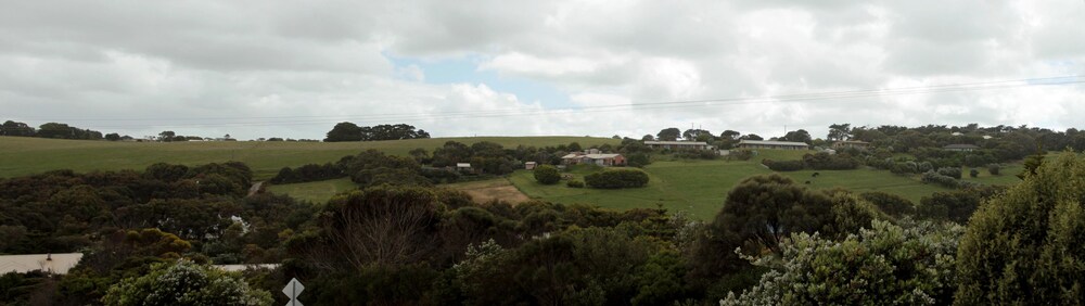 Logans Beach House and Apartments