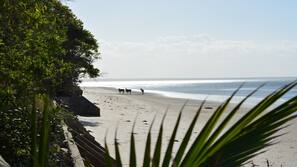 On the beach, white sand, sailing, kayaking