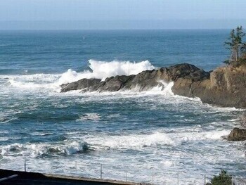No Fees, ThisOceanView WiFi, Gas Fire, 1,200 sq ft, Covered Parking, City Center in Depoe Bay, United States