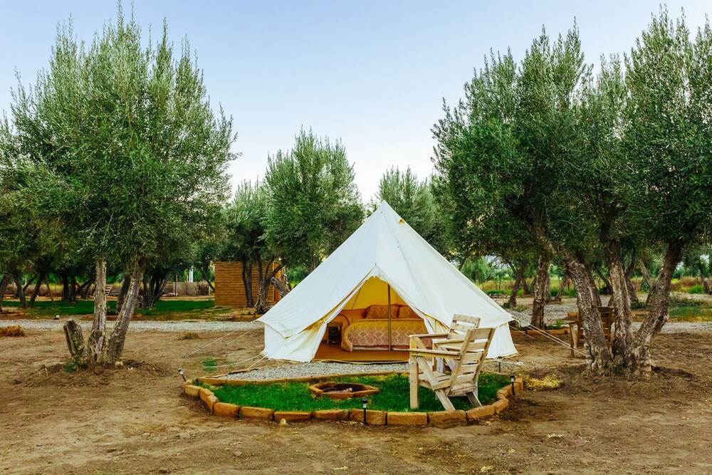 Guadalupe Valle Glamping in Valle de Guadalupe Best Rates & Deals on Orbitz
