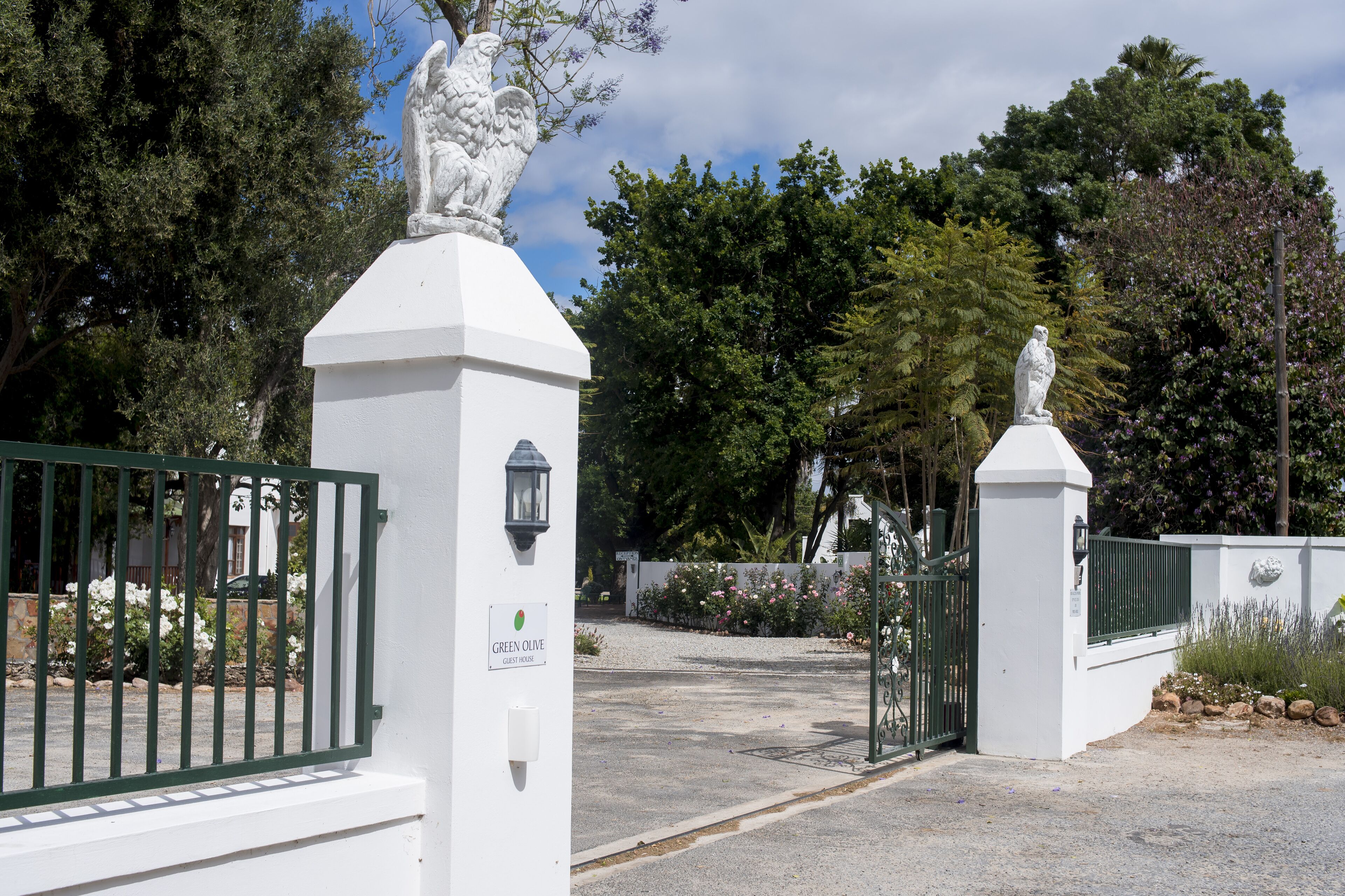 Green Olive Guesthouse in Robertson, South Africa