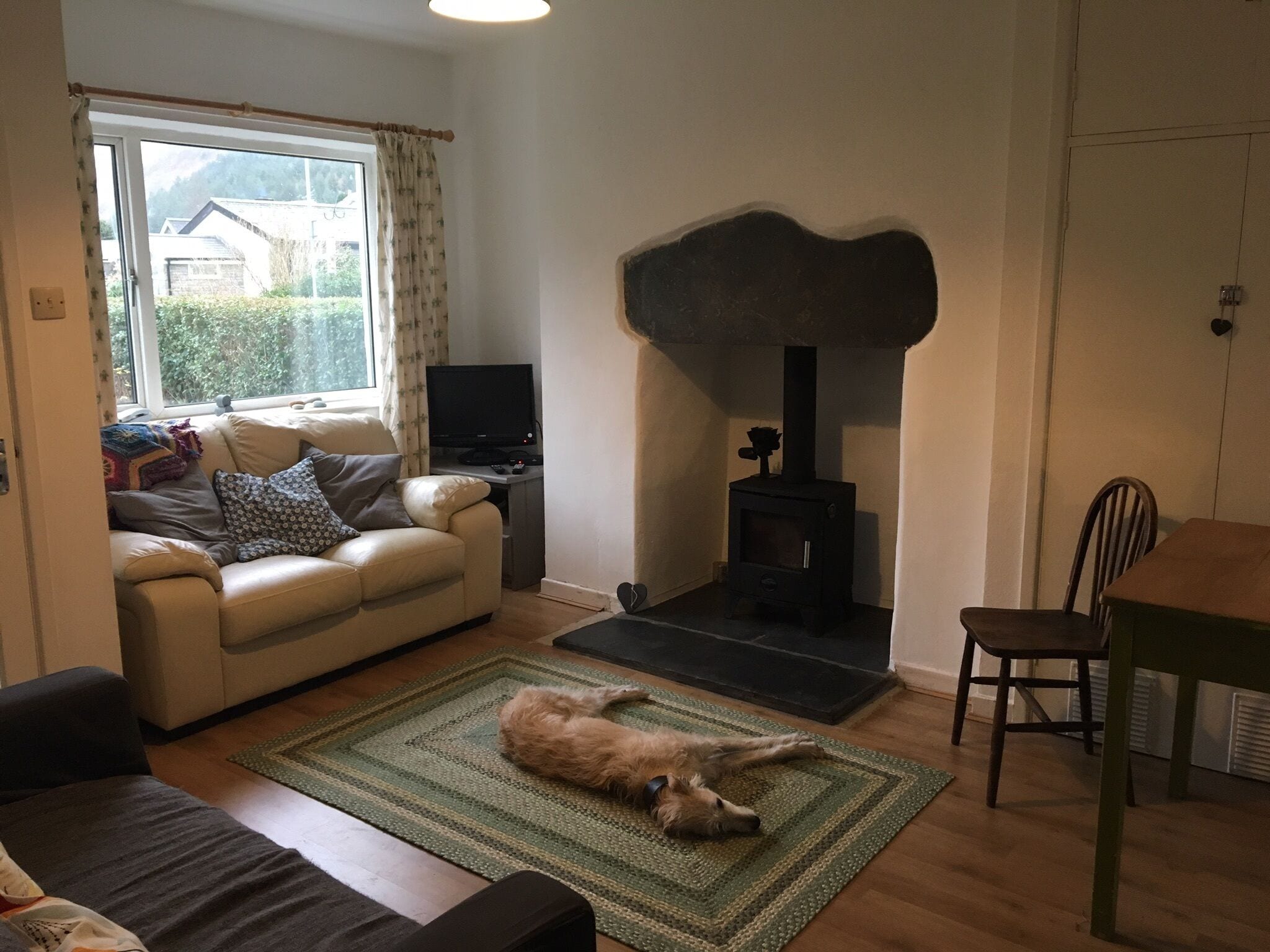 dog friendly hotels snowdonia