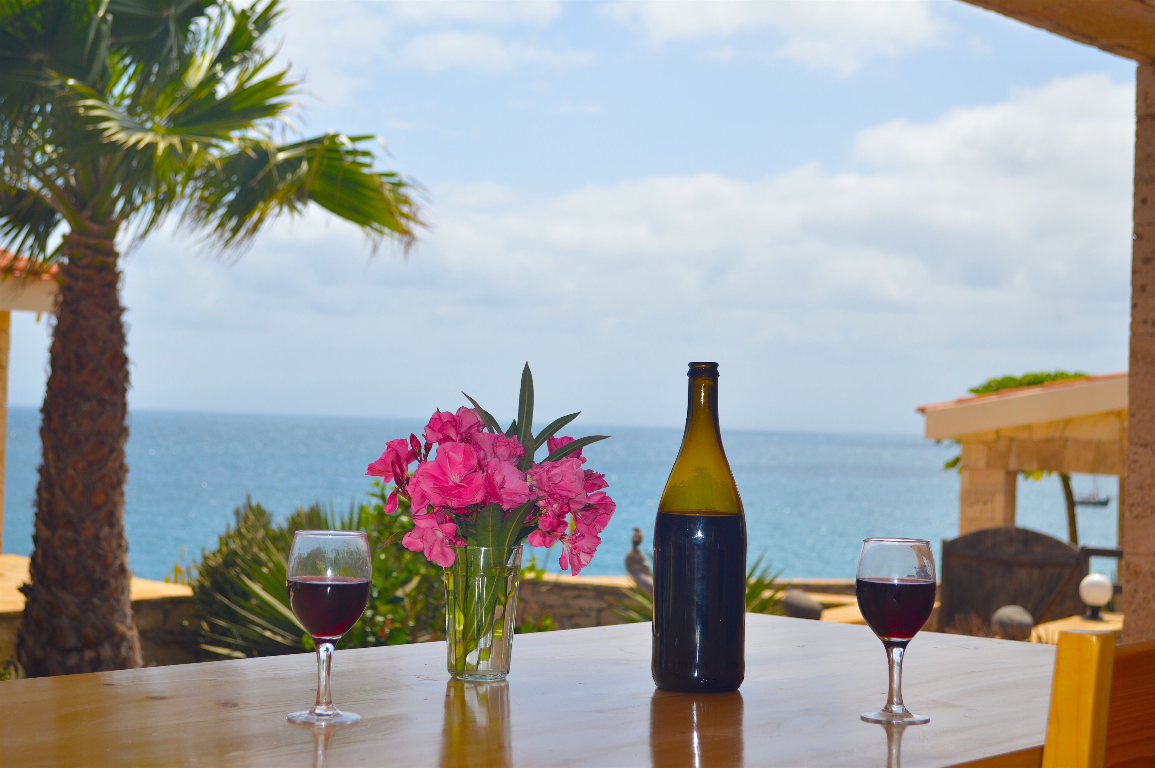 Cliff top villa | ocean views | infinity pool | tropical garden | 50m beach in Maio in Maio, Cape Verde