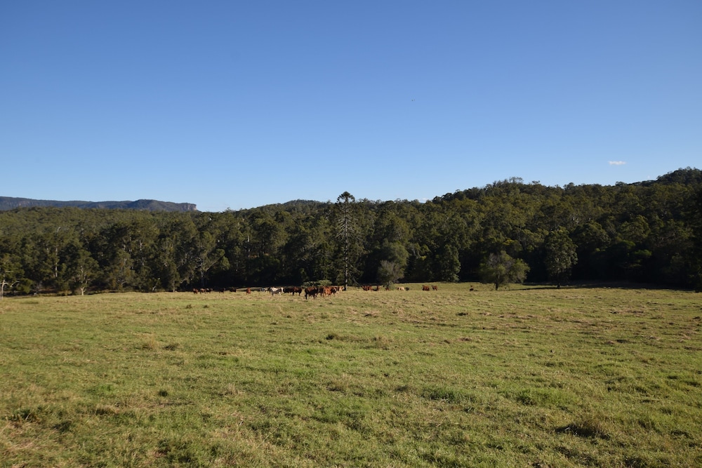 Bunya Creek Farmstay