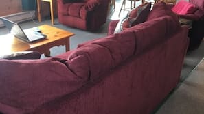 Télévision, cheminée, lecteur de DVD, livres
