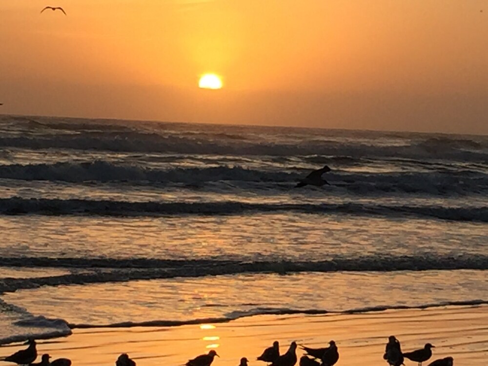 Daytona Beach Getaway, That Won't Break The Bank. 