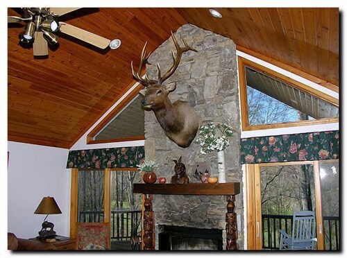 4 Bedroom Lodge, Views, Easy Paved Access, Game Room, Wood Fireplace, WIFI