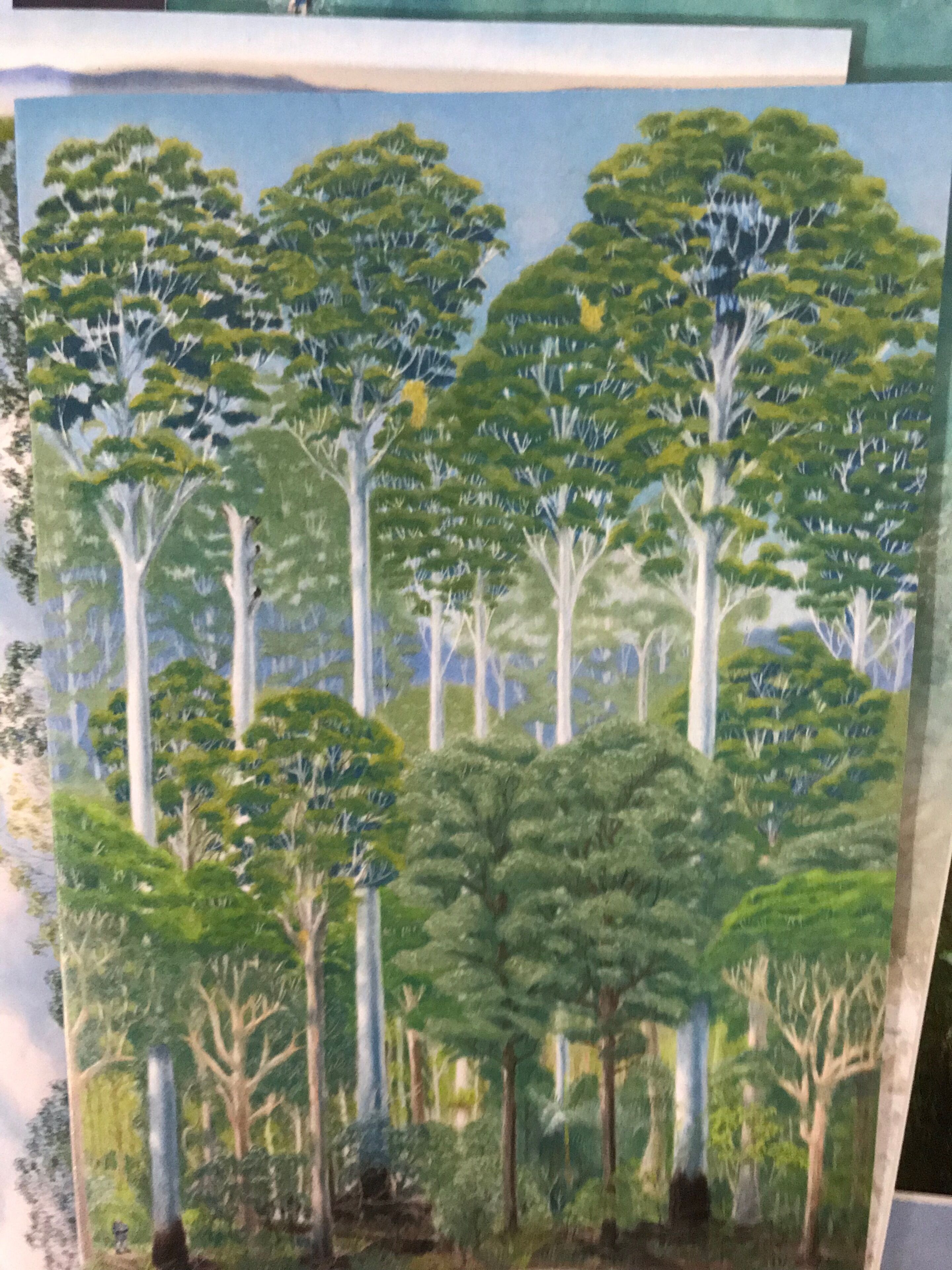 Mountain Getaway Binnaburra Lamington Nat Park