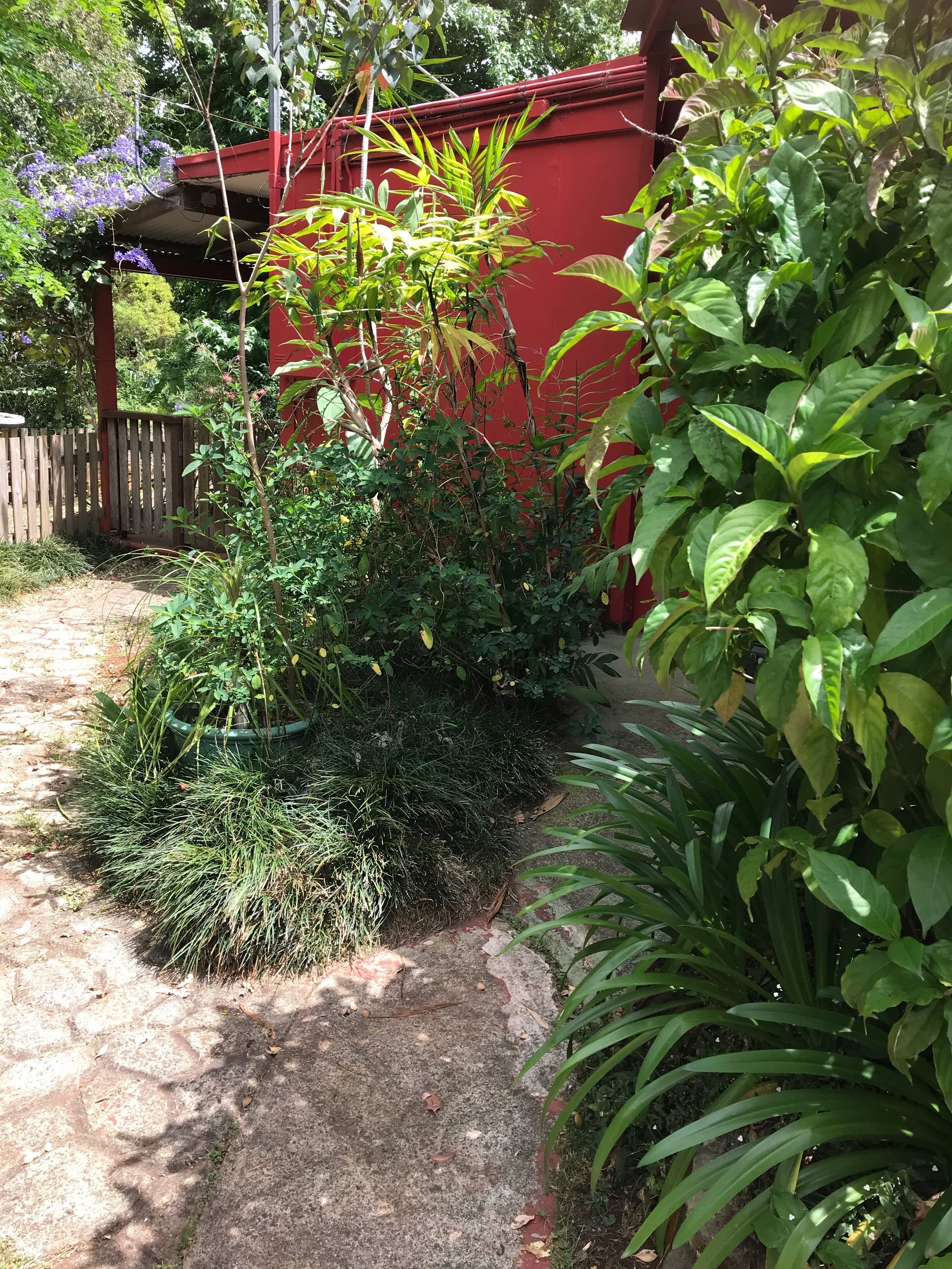 Mountain Getaway Binnaburra Lamington Nat Park