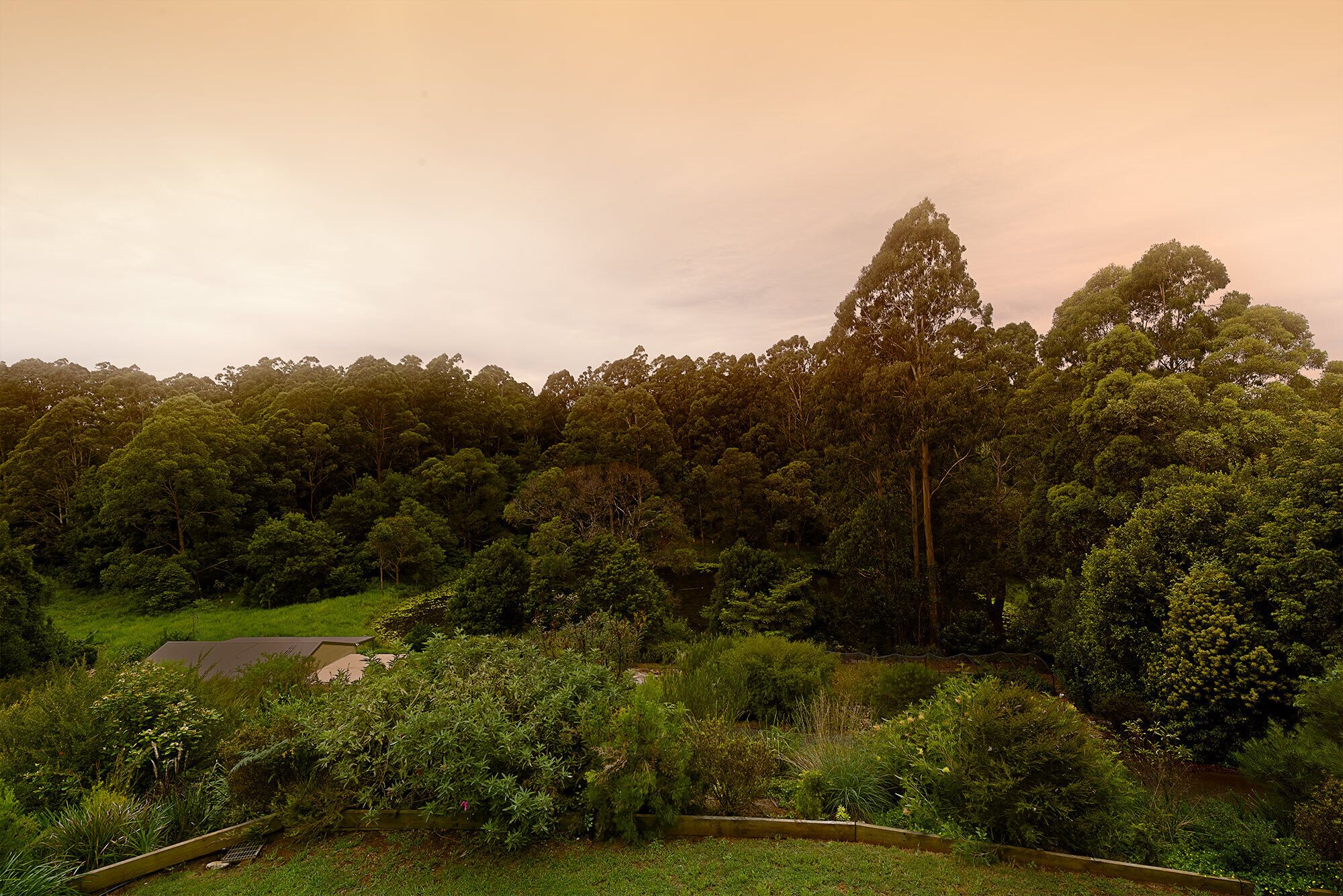 Maleny Wildlife Holiday House 4 Bedrooms