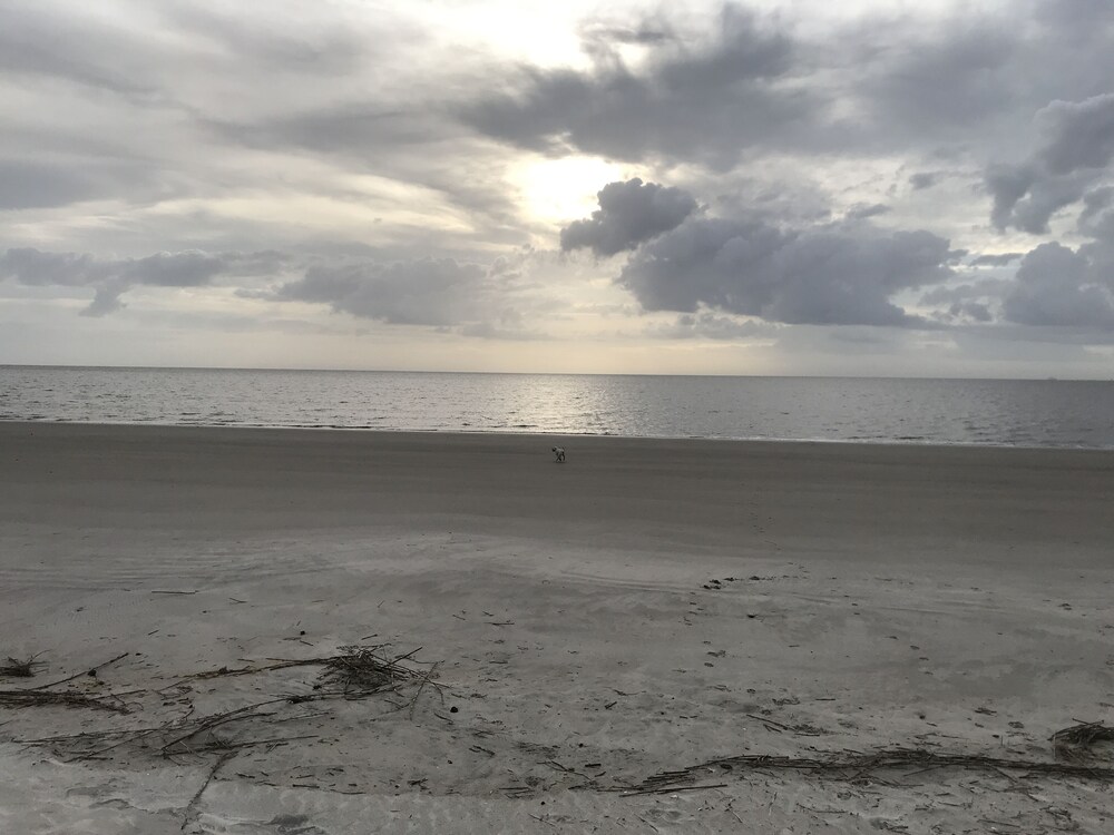 Daufuskie Cottage Historic District / High Speed Wifi / Pet Friendly