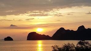 Trên bãi biển