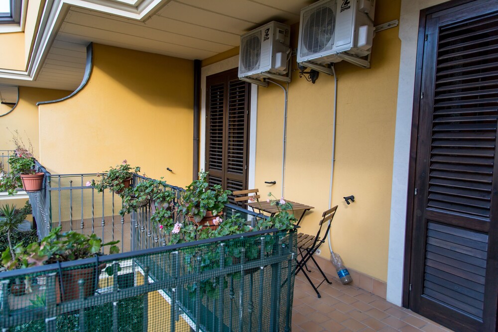 Gli Ulivi dell'Etna