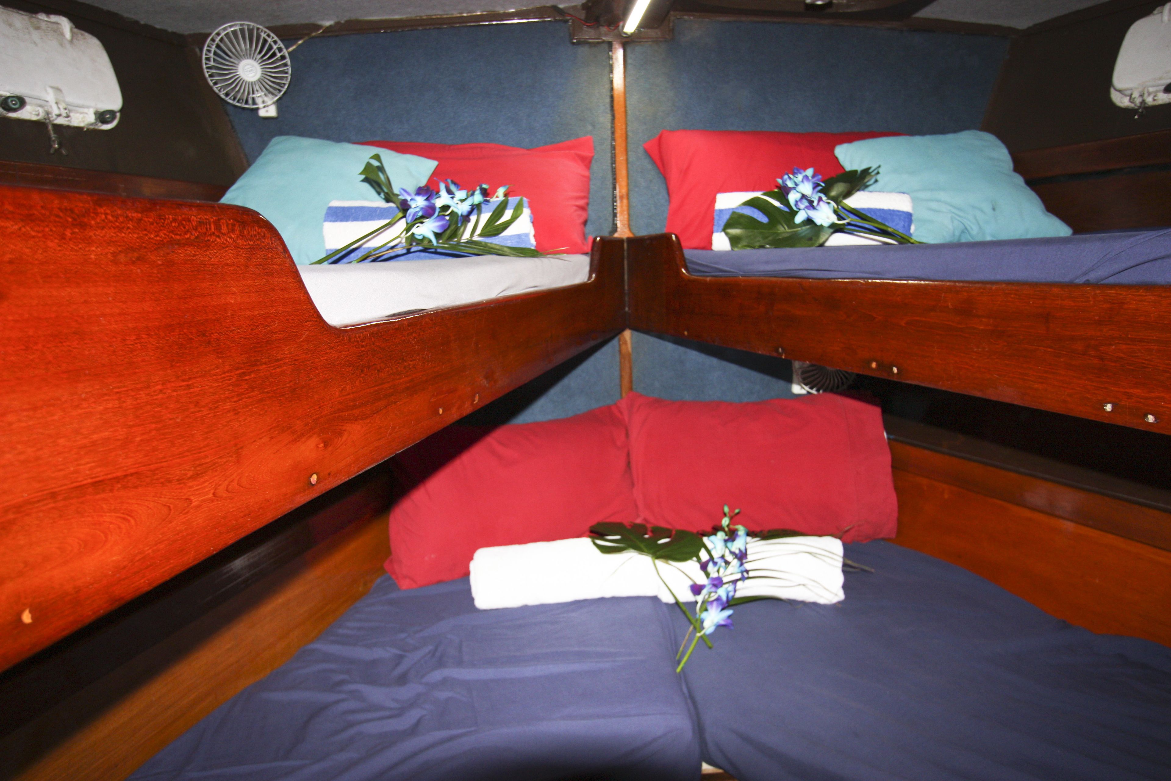 Coral Sea Dreaming Dive and Sail